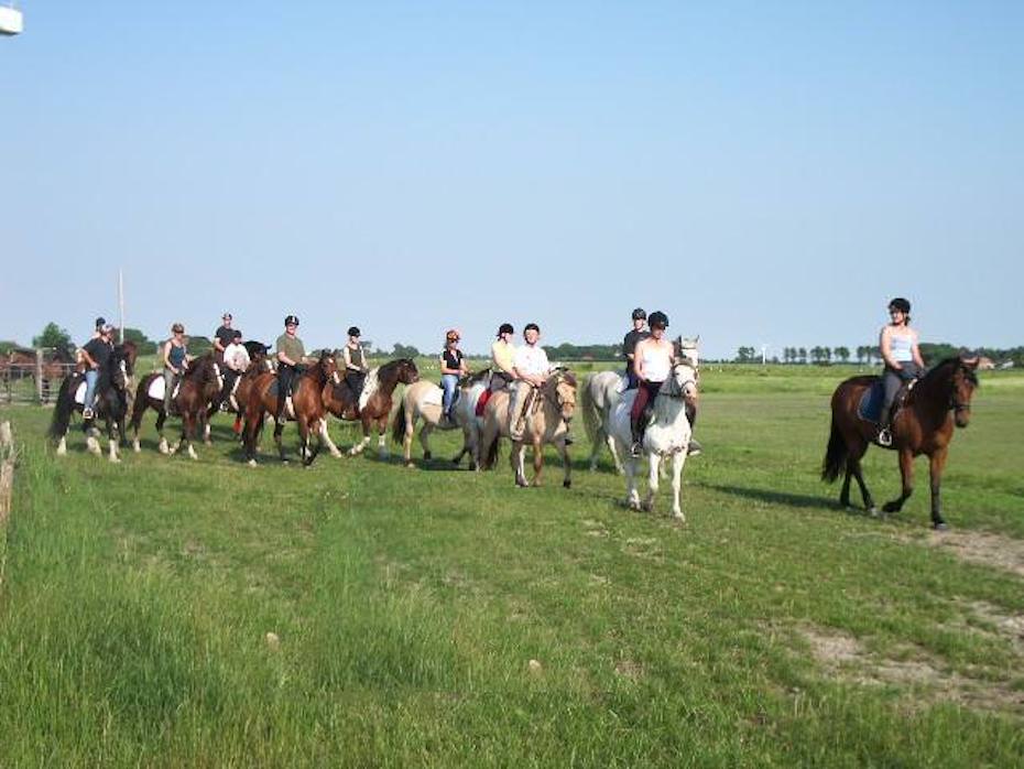 Foto aus der Fotogruppe 