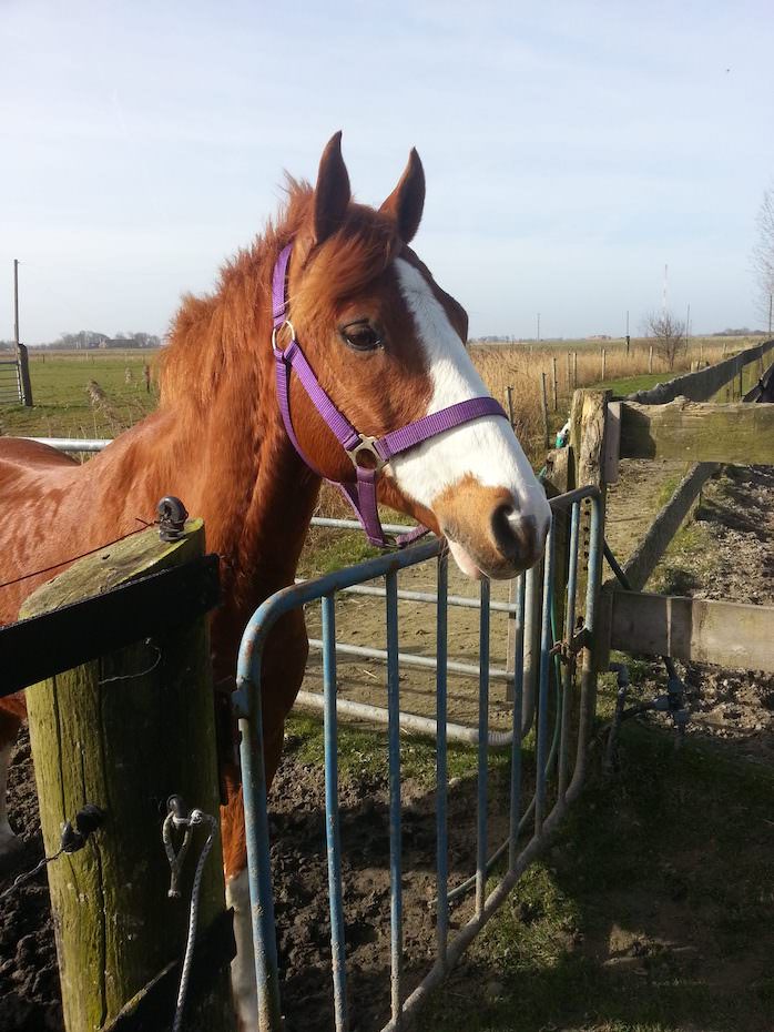 Foto aus der Fotogruppe 