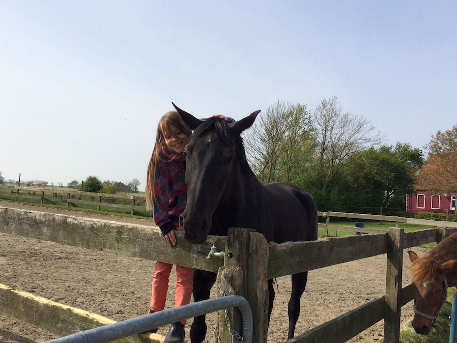 Foto aus der Fotogruppe 