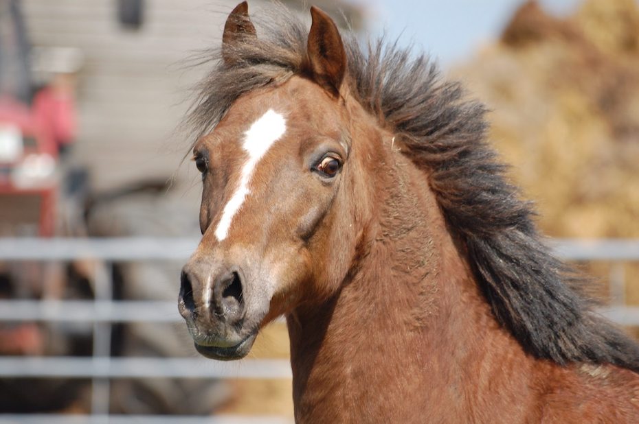 Foto aus der Fotogruppe 