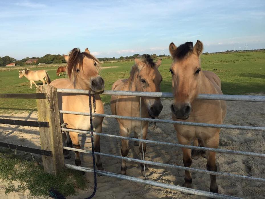 Foto aus der Fotogruppe 