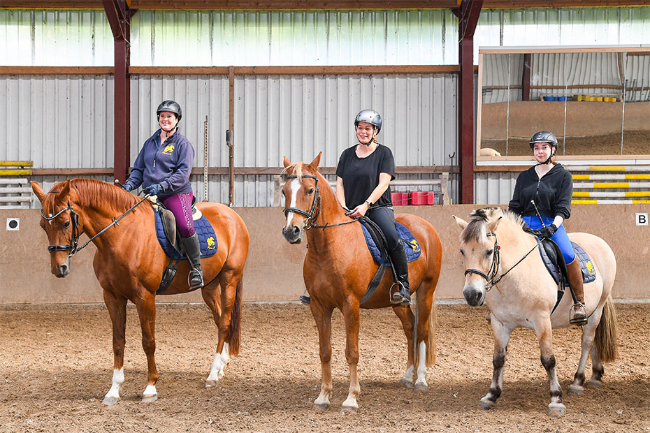Foto aus der Fotogruppe 