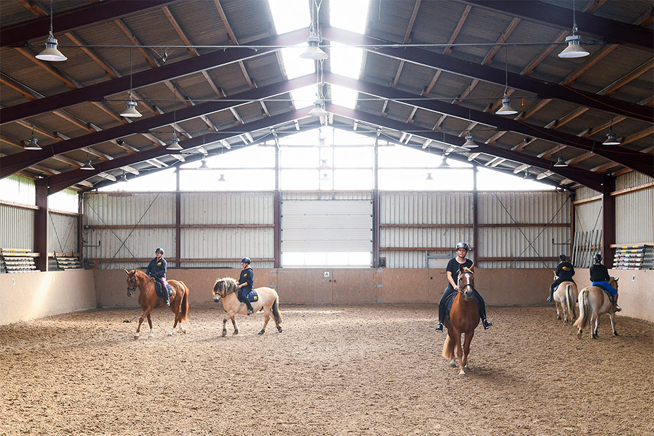 Foto aus der Fotogruppe 