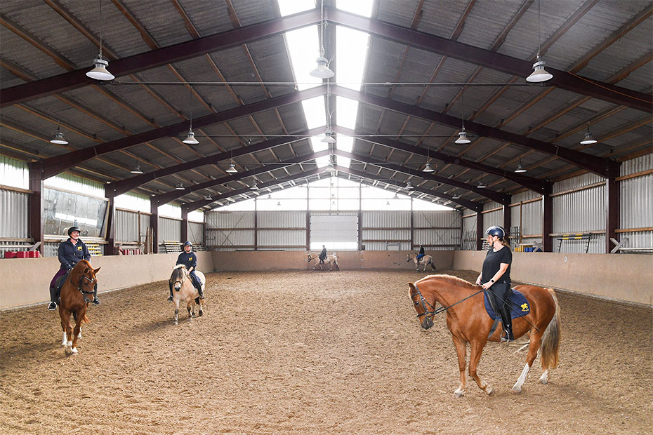 Foto aus der Fotogruppe 