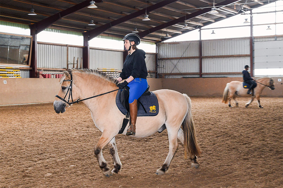 Foto aus der Fotogruppe 